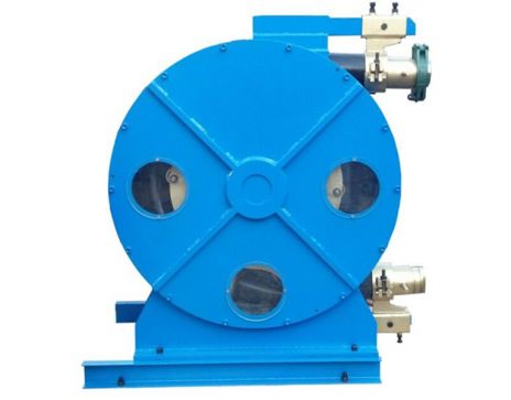 WH100-915 Peristaltic Pump