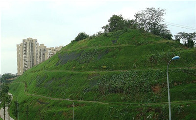 Chinese diesel hydroseeding mulch pump machine